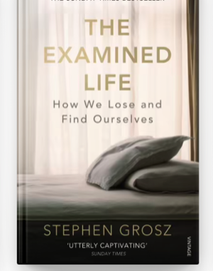 The Examined Life — Stephen Grosz